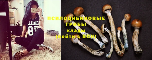 герыч Балахна