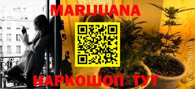 шишки Берёзовский