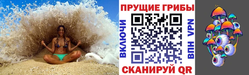 Псилоцибиновые грибы Psilocybine cubensis  Белорецк 