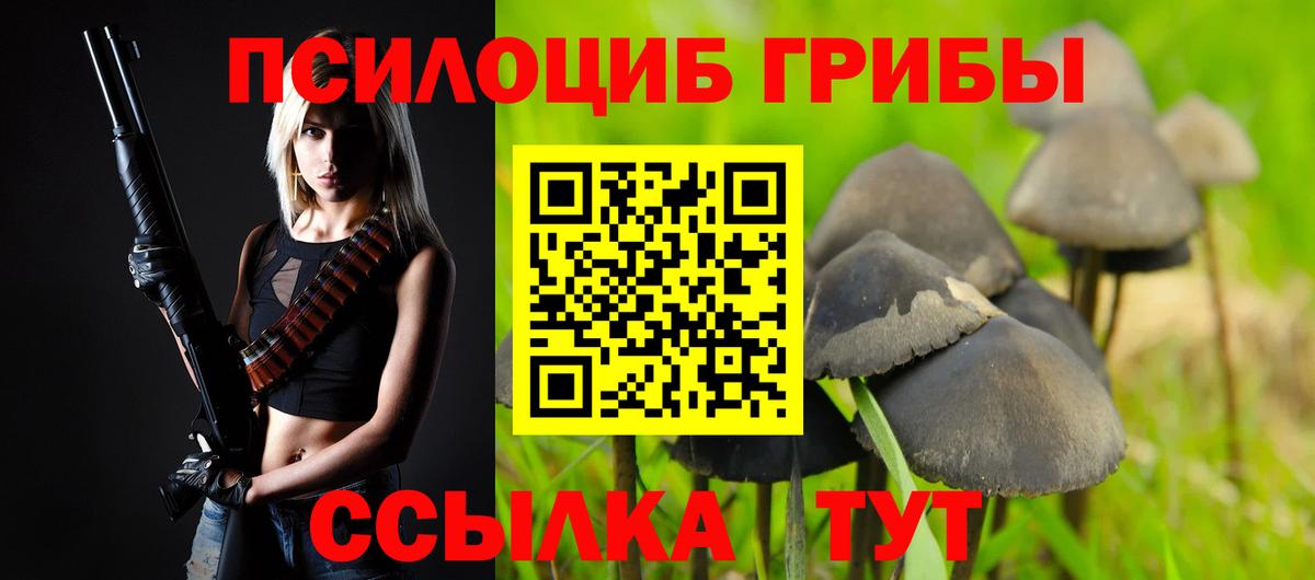 Галлюциногенные грибы Cubensis  Вход с VPN  Белорецк 