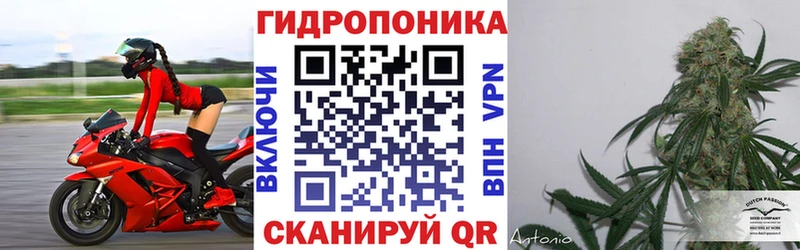 кракен tor  купить   Белорецк  Конопля THC 21% 